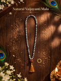 Original Natural Vaijanti Mala with Rudraksha Sumeru Bead (~6.5 mm) – Lab Certified Sacred Garland of Lord Krishna & Vishnu